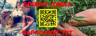 PSILOCYBIN Краснодар