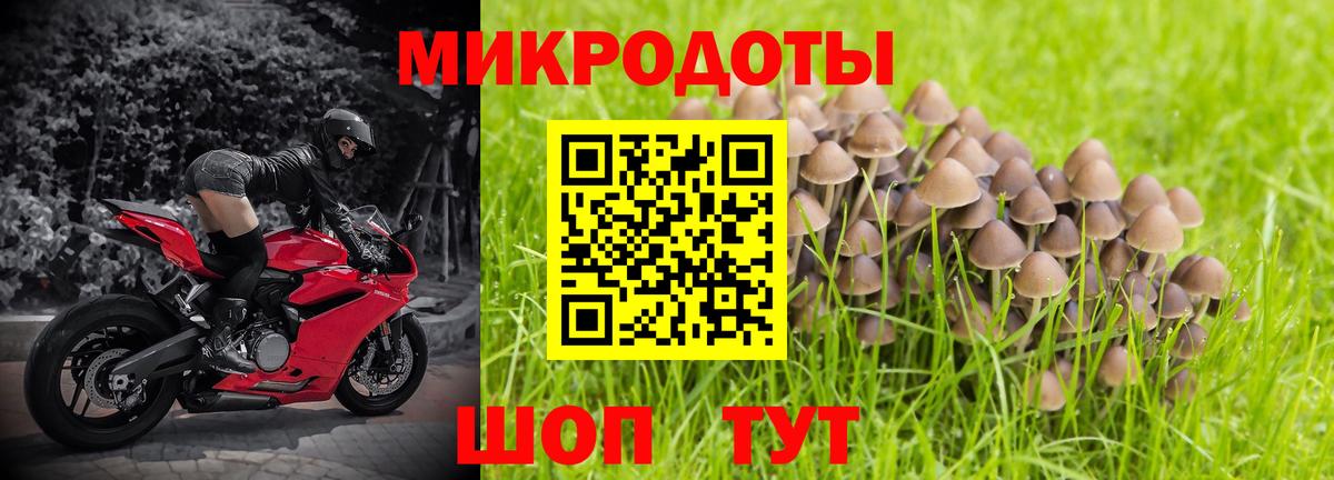 Галлюциногенные грибы мицелий  Вход с VPN  Елизово 
